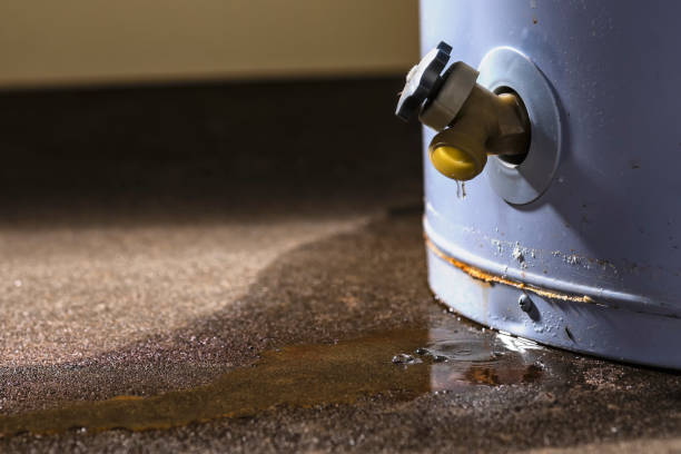  Vestavia Hills, AL Water damage restoration Pros