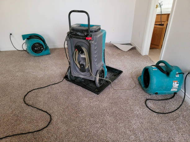 Best Local water damage restoration  in Vestavia Hills, AL