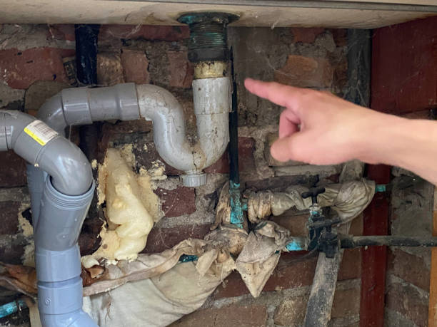 Best Water damage restoration near me  in Vestavia Hills, AL