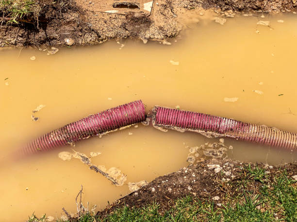 Best Sewage cleanup and water damage restoration  in Vestavia Hills, AL